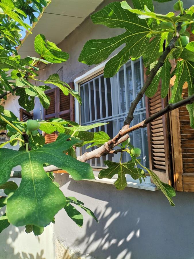 Country House Созополи Екстериор снимка